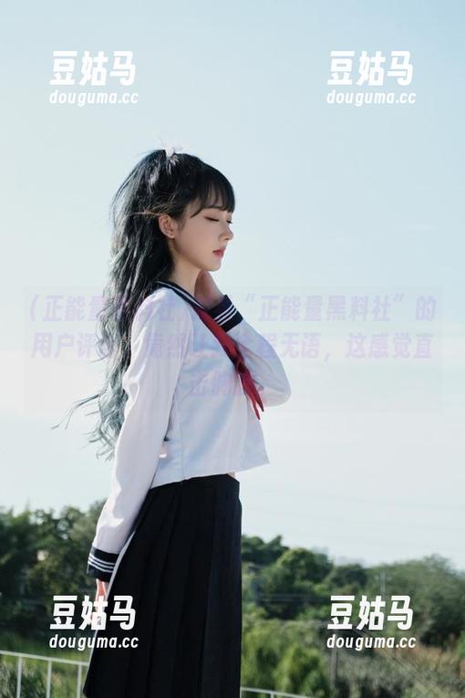 观看“正能量黑料社”的用户评论，竟然让我全程无语，这感觉直击胸膛。